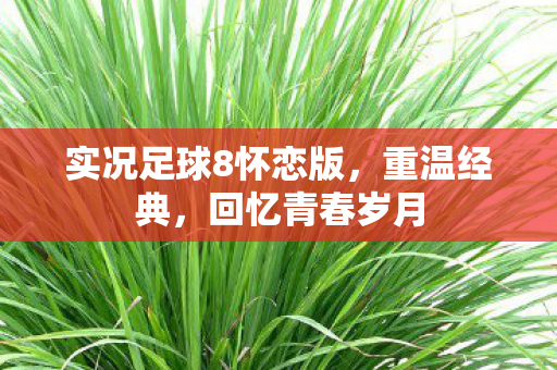 实况足球8怀恋版图片