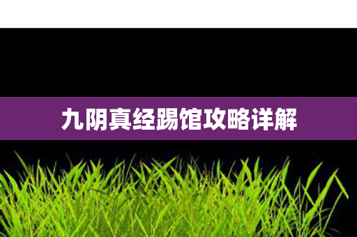 九阴真经踢馆攻略详解图片