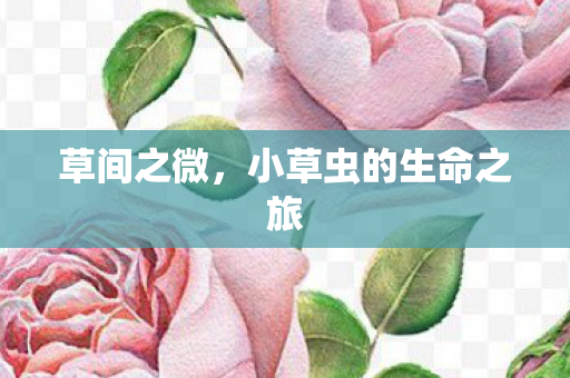 小草虫的生命之旅图片
