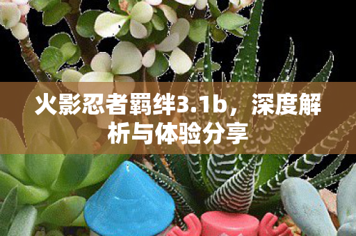 深度解析与体验分享图片