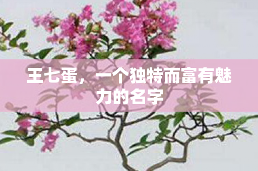 一个独特而富有魅力的名字图片