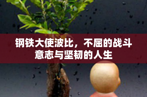 不屈的战斗意志与坚韧的人生图片