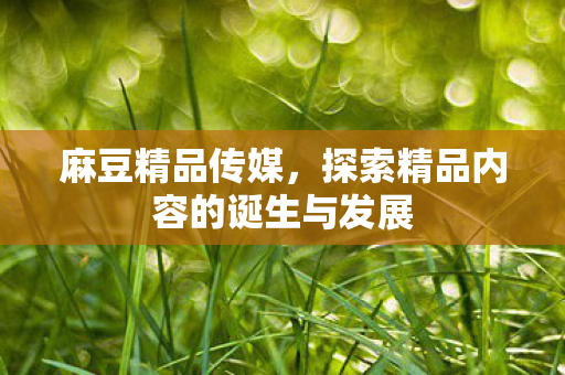 探索精品内容的诞生与发展图片