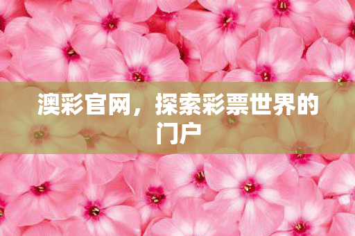 探索彩票世界的门户图片