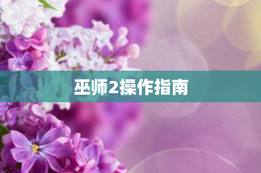 巫师2操作指南图片