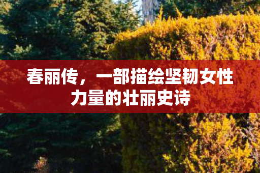 一部描绘坚韧女性力量的壮丽史诗图片
