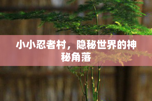 隐秘世界的神秘角落图片