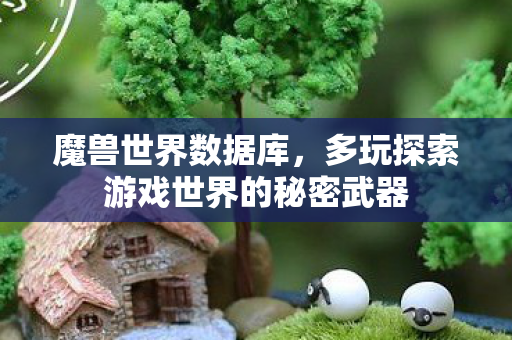 多玩探索游戏世界的秘密武器图片