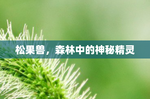森林中的神秘精灵图片