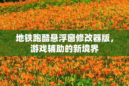 地铁跑酷悬浮窗修改器版图片