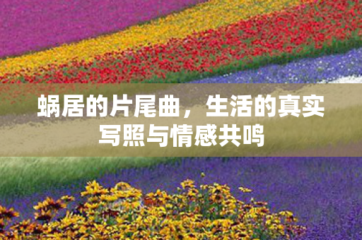 生活的真实写照与情感共鸣图片
