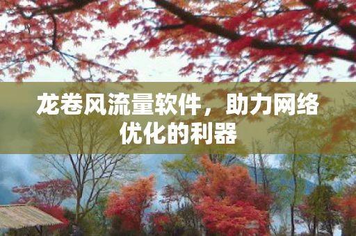 助力网络优化的利器图片