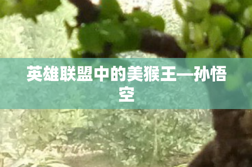 英雄联盟中的美猴王图片
