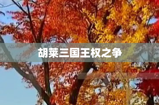胡莱三国王权之争图片