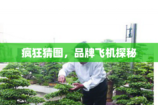 品牌飞机探秘图片