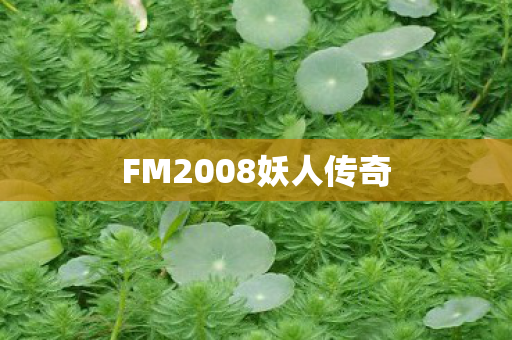FM2008妖人传奇图片
