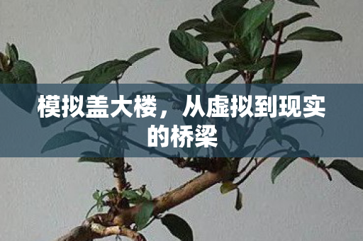 从虚拟到现实的桥梁图片