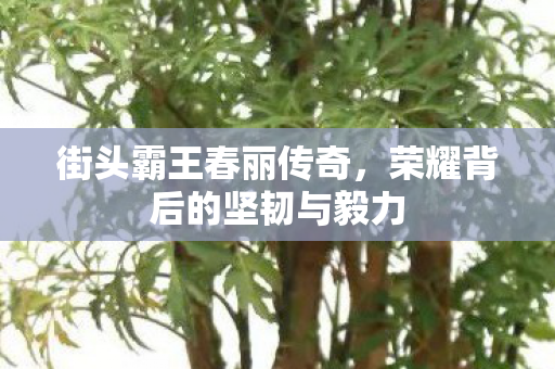 荣耀背后的坚韧与毅力图片
