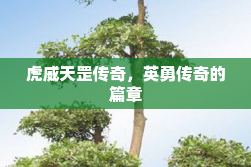 英勇传奇的篇章图片