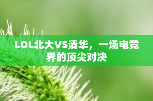 一场电竞界的顶尖对决图片