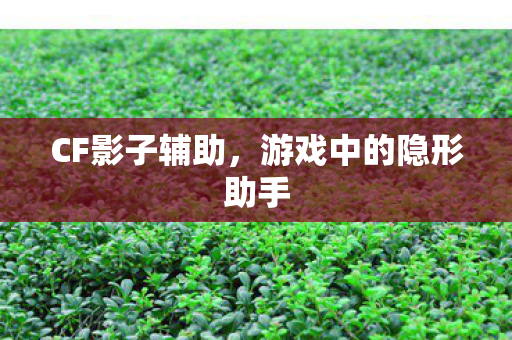 游戏中的隐形助手图片