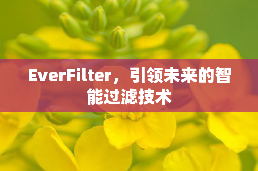 引领未来的智能过滤技术图片