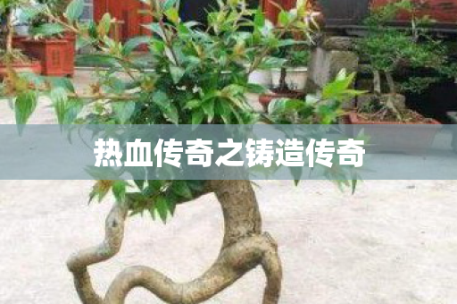 热血传奇之铸造传奇图片