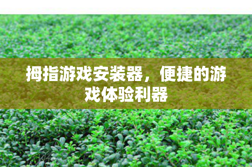 便捷的游戏体验利器图片