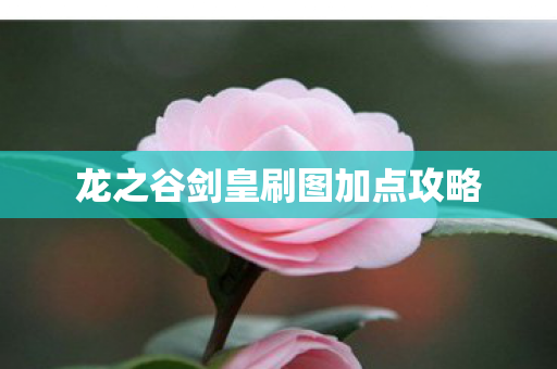 龙之谷剑皇刷图加点攻略图片