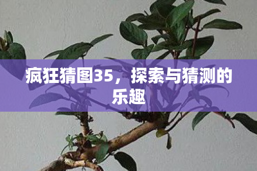 探索与猜测的乐趣图片