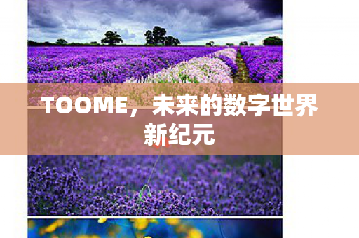 未来的数字世界新纪元图片