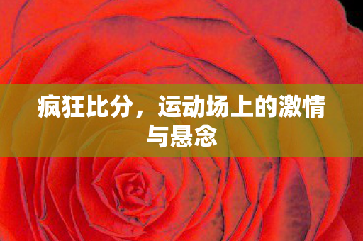 运动场上的激情与悬念图片