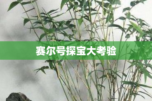 赛尔号探宝大考验图片