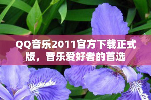 QQ音乐2011官方下载正式版图片