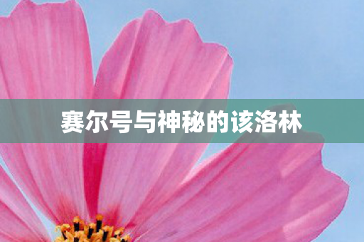 赛尔号与神秘的该洛林图片