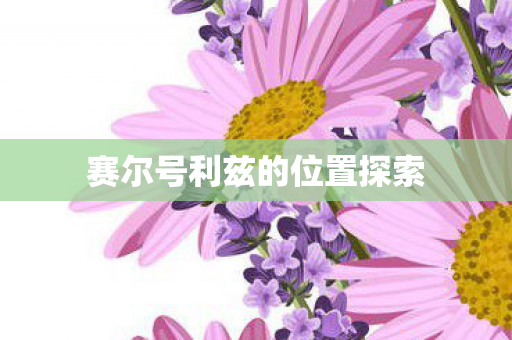 赛尔号利兹的位置探索图片