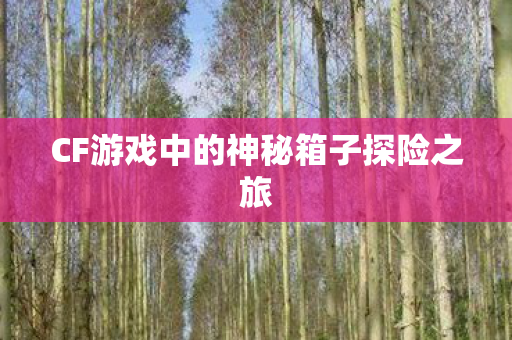CF游戏中的神秘箱子探险之旅图片