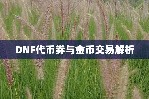 DNF代币券与金币交易解析图片