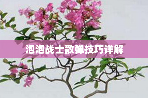 泡泡战士散弹技巧详解图片