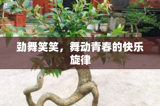 舞动青春的快乐旋律图片