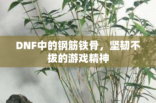 DNF中的钢筋铁骨图片