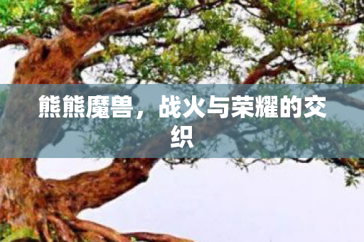 战火与荣耀的交织图片