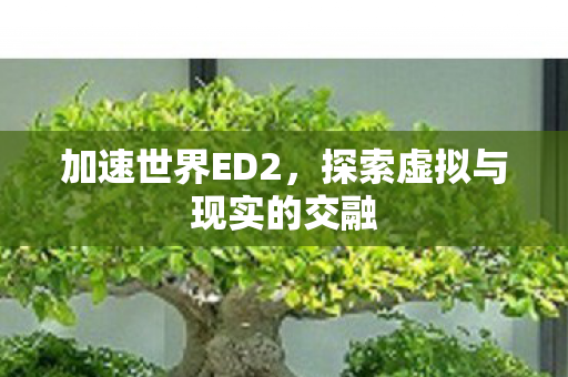 探索虚拟与现实的交融图片
