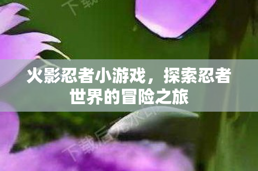探索忍者世界的冒险之旅图片