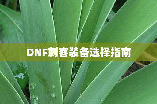 DNF刺客装备选择指南图片