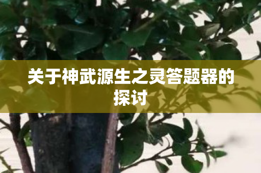 关于神武源生之灵答题器的探讨图片