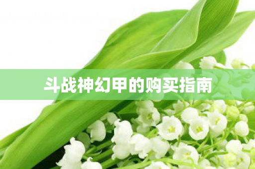 斗战神幻甲的购买指南图片
