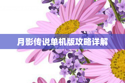 月影传说单机版攻略详解图片