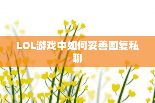 LOL游戏中如何妥善回复私聊图片