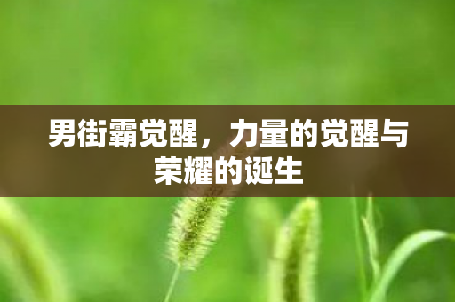 力量的觉醒与荣耀的诞生图片